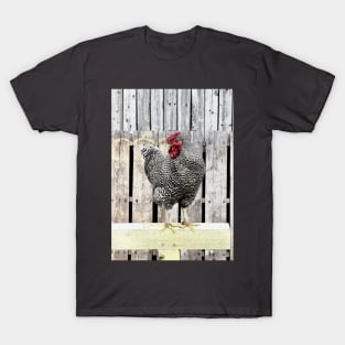 Bert T-Shirt